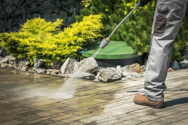 Animal Enclosure Cleaning in Pomona, KS